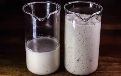 Make A Sourdough Starter From Scratch