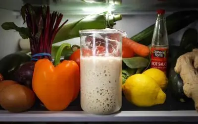 Storing Your Sourdough Starter In The Fridge