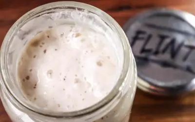 How to Keep a Sourdough Starter Active and Build a Levain