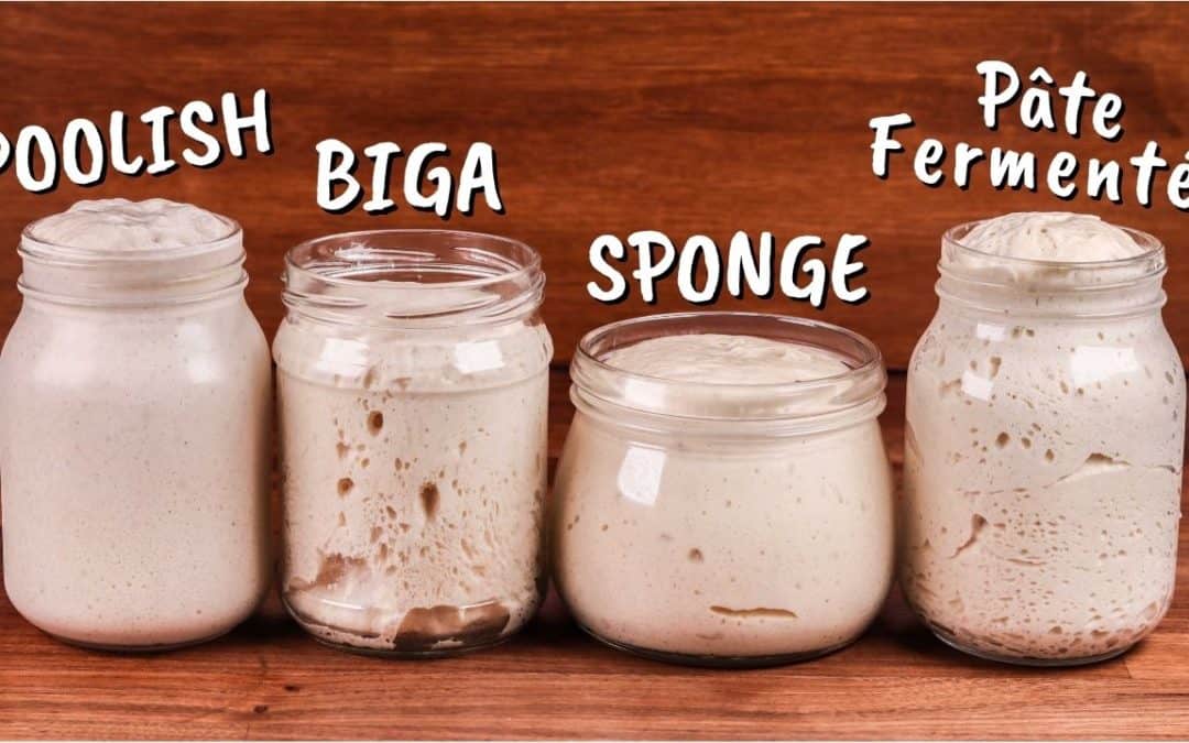 Poolish, Biga, Sponge, Pâte Fermentée, Preferments Explained