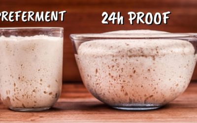 Long Bulk Proof vs Preferment. What is the Difference?