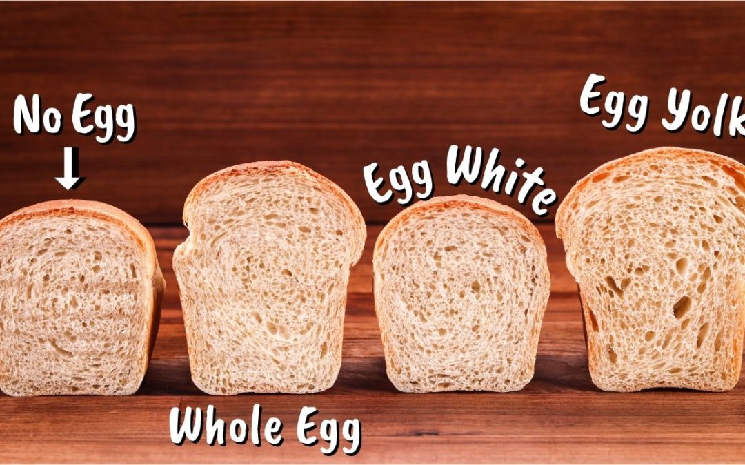 What Effect Does Egg Have on Bread Dough?