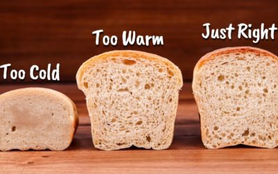 How Bread Dough Temperature Affects Fermentation
