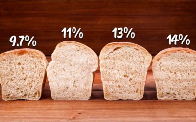 How Flour Protein Content Affects Bread Dough