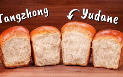 Tangzhong & Yudane Explained, Bread Improvers