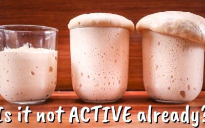 Why Do You Have to Activate Active Dry Yeast?