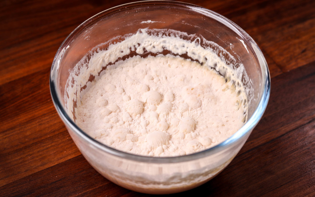How Much Neglect Can a Sourdough Starter Take? Is My Starter Dead?