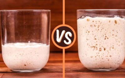 Sourdough Starter and Leaven. Are They The Same Thing?