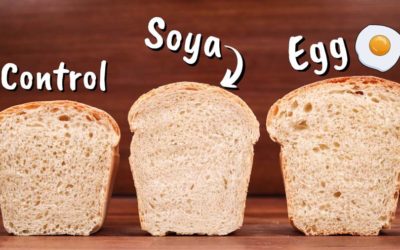 This is How Lecithin Affects Bread Dough