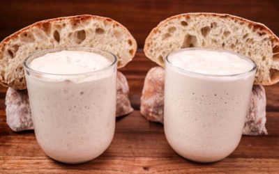 Sourdough vs Yeast | Can You Get Comparable Results?