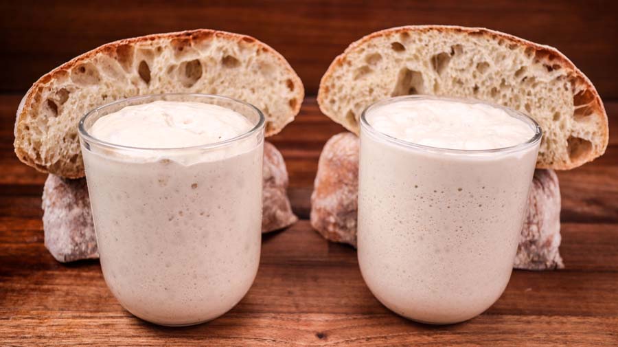 Sourdough vs Yeast | Can You Get Comparable Results?