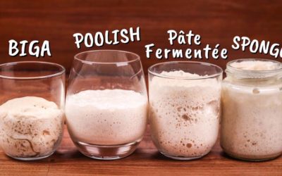 Yeasted Preferments Compared | Biga, Poolish, Pâte Fermentée, Sponge