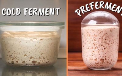 Cold Fermentation vs Pre-ferment I Which is Better?