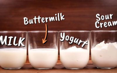 Milk, Buttermilk, Yogurt & Sour Cream Compared I Principles of Baking