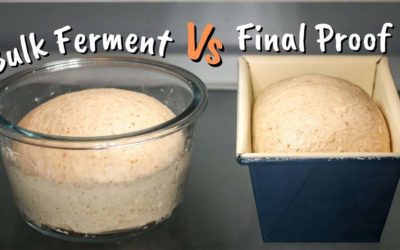 Cold Bulk Fermentation vs Cold Proofing Compared I Which is Better?