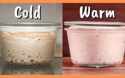 Which is the Best Slow Fermentation Method? Cold vs Room Temperature
