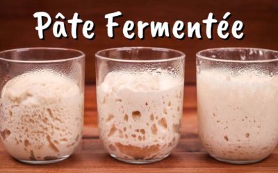 How to Use Pâte Fermentée (Old Dough) | Detailed Guide