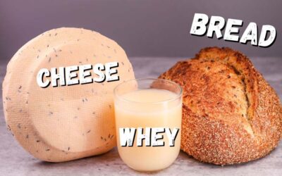 How to Make Cheese and use the Leftover Whey to Make Bread